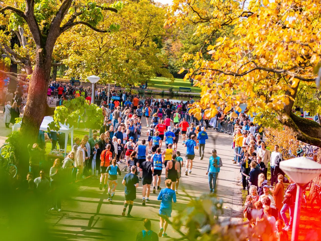 Runners racing through the Vondelpark during the Amsterdam Marathon